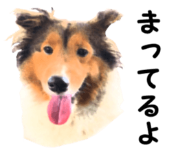 will sticker #13741820