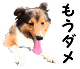 will sticker #13741821