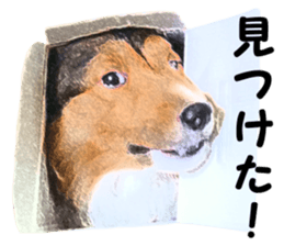 will sticker #13741823