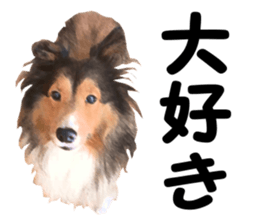 will sticker #13741824