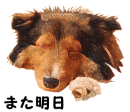 will sticker #13741826