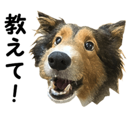 will sticker #13741827