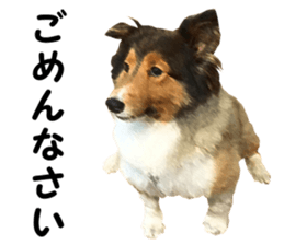 will sticker #13741834