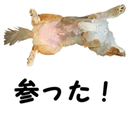 will sticker #13741836