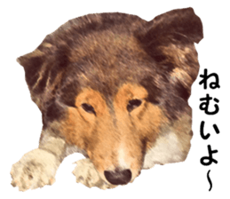 will sticker #13741837