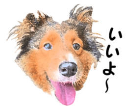 will sticker #13741838