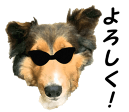 will sticker #13741840