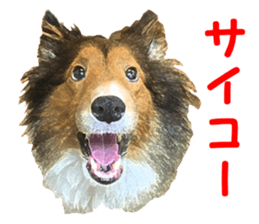 will sticker #13741841