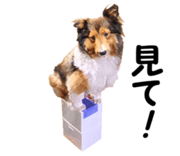 will sticker #13741844