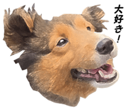 will sticker #13741845