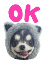 Chihuahua KURURU sticker #13743524