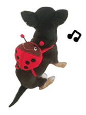 Chihuahua KURURU sticker #13743536