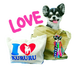 Chihuahua KURURU sticker #13743543
