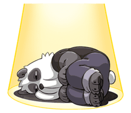 Panda-DOHS 1.5 sticker #13743595