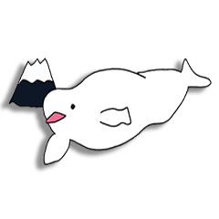 Beluga whales traveling Japan