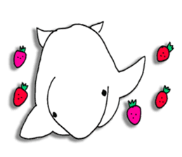 Beluga whales traveling Japan sticker #13743730