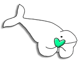 Beluga whales traveling Japan sticker #13743732