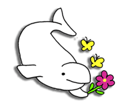 Beluga whales traveling Japan sticker #13743738