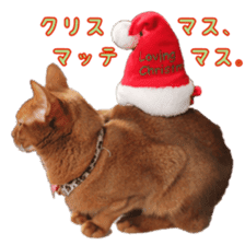 Adagio's Cats Xmas ver. sticker #13743800