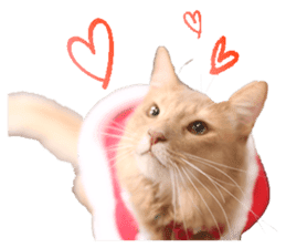 Adagio's Cats Xmas ver. sticker #13743801