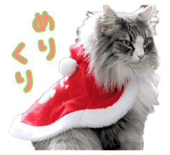 Adagio's Cats Xmas ver. sticker #13743805