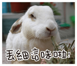 HoHo & Cola Photo Sticker sticker #13747678