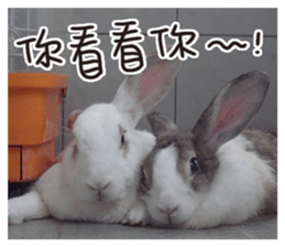 HoHo & Cola Photo Sticker sticker #13747680