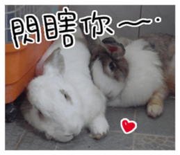 HoHo & Cola Photo Sticker sticker #13747682