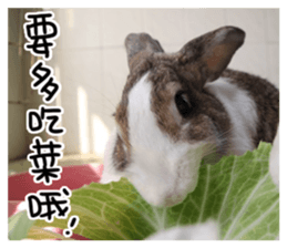 HoHo & Cola Photo Sticker sticker #13747683