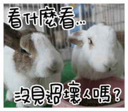 HoHo & Cola Photo Sticker sticker #13747684