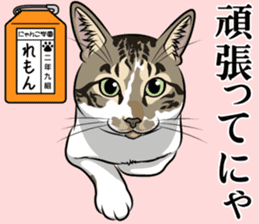 Nyanko school(PART6) sticker #13748672
