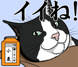Nyanko school(PART6) sticker #13748679