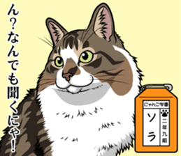 Nyanko school(PART6) sticker #13748682