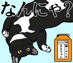 Nyanko school(PART6) sticker #13748691