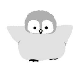 everyone's kids penguin sticker #13749062