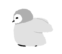 everyone's kids penguin sticker #13749080