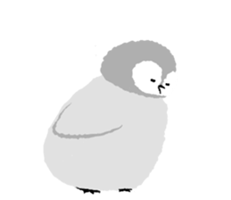 everyone's kids penguin sticker #13749086