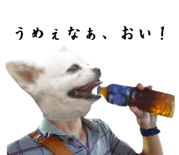 Chihuahua man 2 sticker #13749368