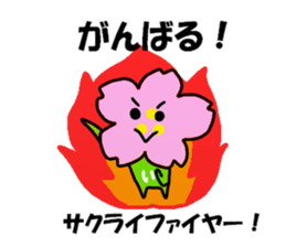 Sakurai Sakurai Sticker sticker #13749446