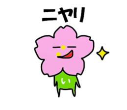 Sakurai Sakurai Sticker sticker #13749468