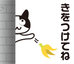 akanecco