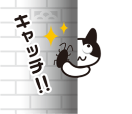 Peeping cat and Mandrillus sphinx sticker #13750553