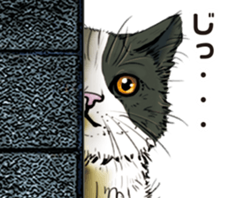 Peeping cat and Mandrillus sphinx sticker #13750561