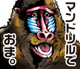 Peeping cat and Mandrillus sphinx sticker #13750573