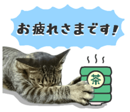 Many cats Sticker 2 sticker #13750665