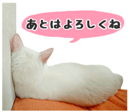 Many cats Sticker 2 sticker #13750666