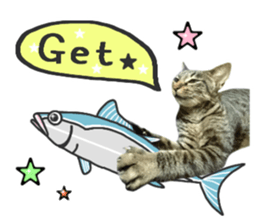 Many cats Sticker 2 sticker #13750672