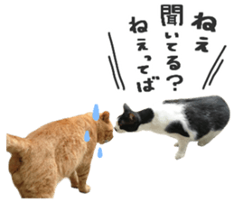 Many cats Sticker 2 sticker #13750678