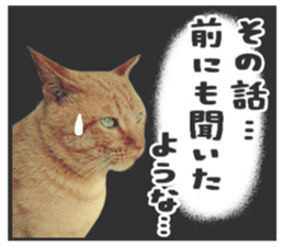 Many cats Sticker 2 sticker #13750679