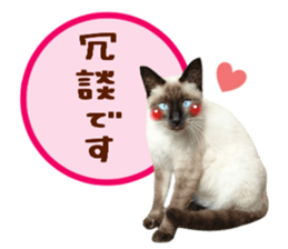 Many cats Sticker 2 sticker #13750697